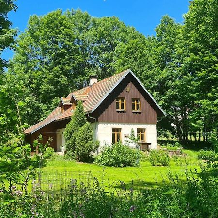 Chalupa Ostruvek Tachov  Exteriér fotografie