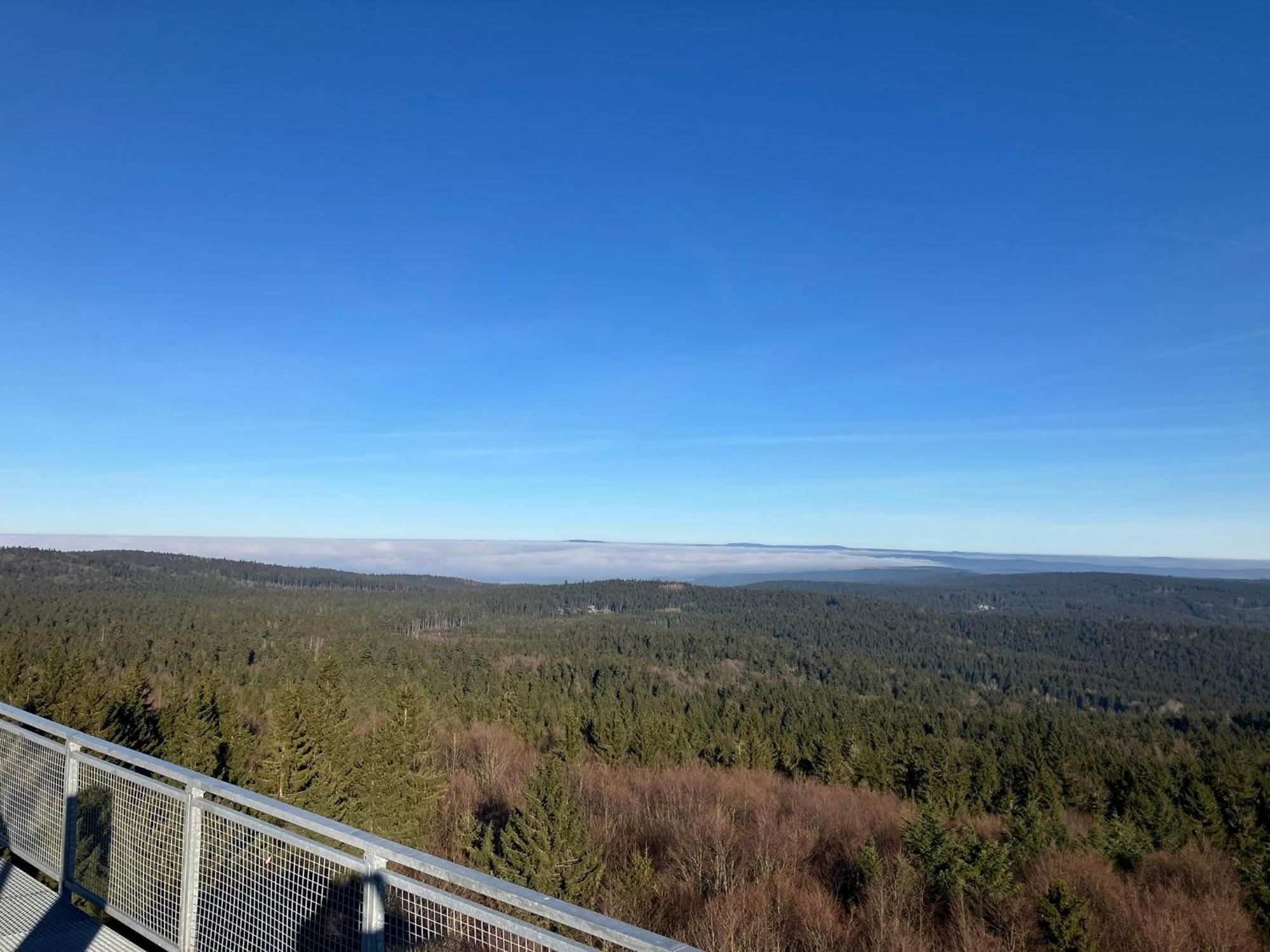 Chalupa Ostruvek Tachov  Exteriér fotografie