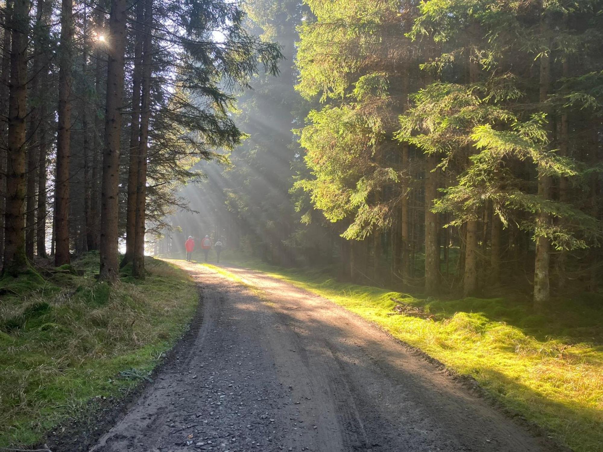 Chalupa Ostruvek Tachov  Exteriér fotografie