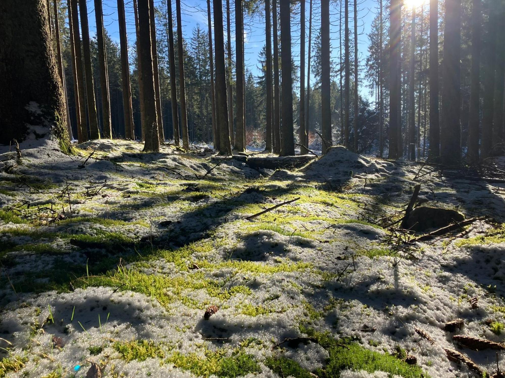 Chalupa Ostruvek Tachov  Exteriér fotografie